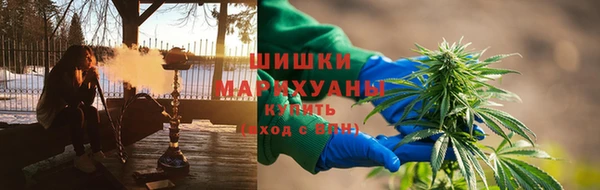ПСИЛОЦИБИНОВЫЕ ГРИБЫ Кулебаки