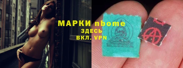 ПСИЛОЦИБИНОВЫЕ ГРИБЫ Кулебаки