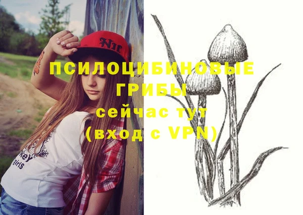 винт Куйбышев