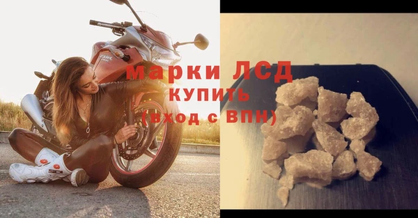 ПСИЛОЦИБИНОВЫЕ ГРИБЫ Кулебаки