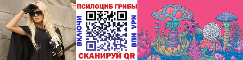 наркотики  hydra ONION  Псилоцибиновые грибы мухоморы  Юрьевец 